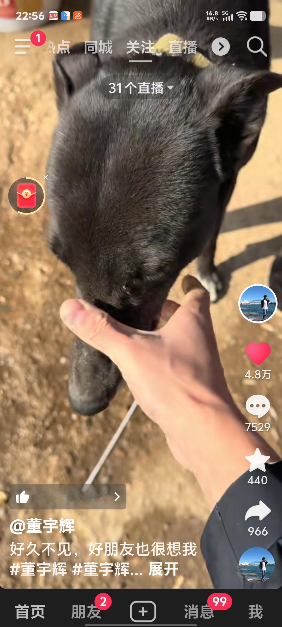 董宇辉太搞笑了，回到老家。握着家里的狗嘴。一边晃一边喊，你好你好，好久不见。