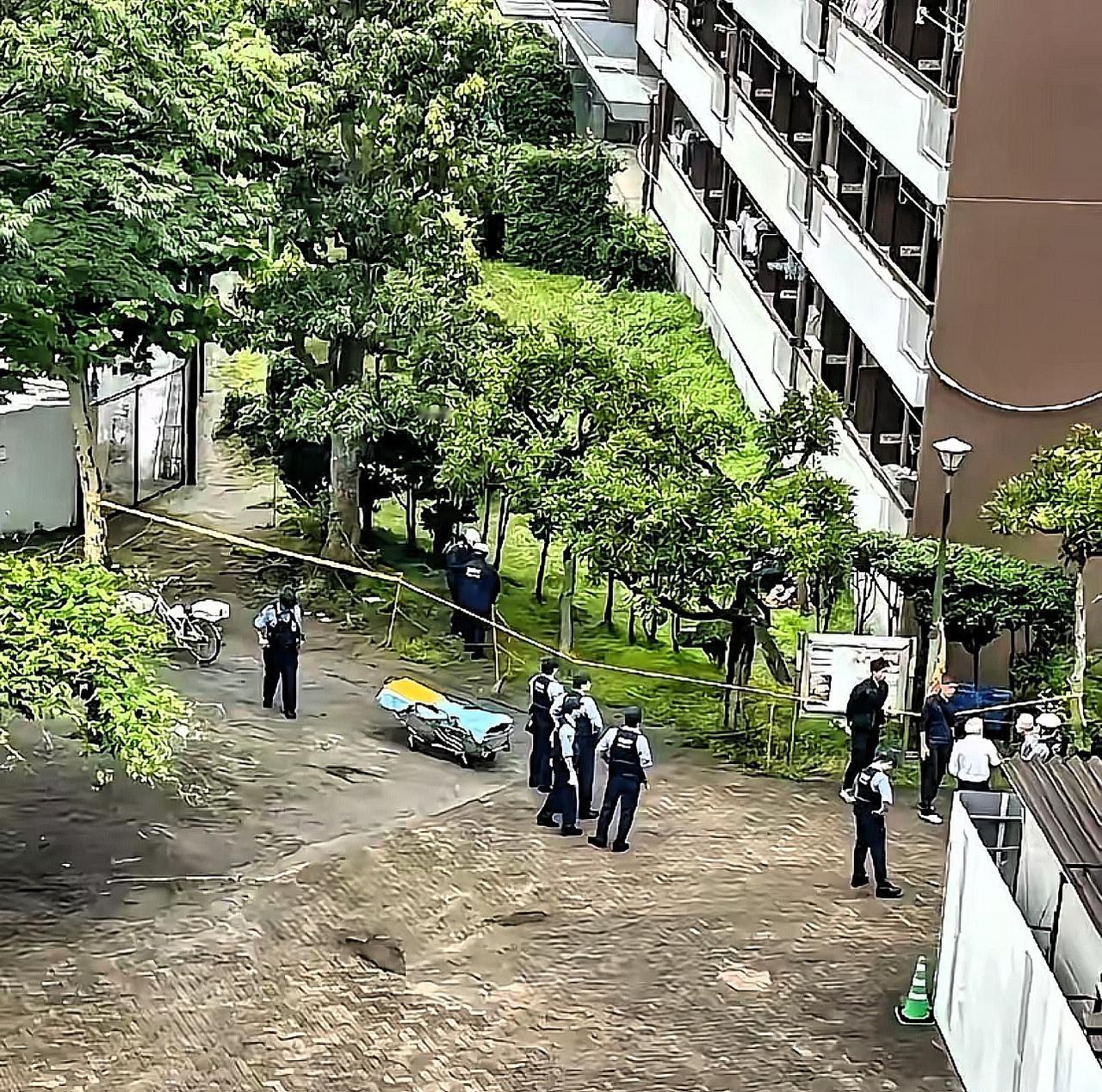 柳州五星街惨剧！69岁老人砍伤邻居4口后跳楼，这道“墙”该拆了！刷到柳州这事