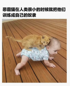 被挨打总是有原因的