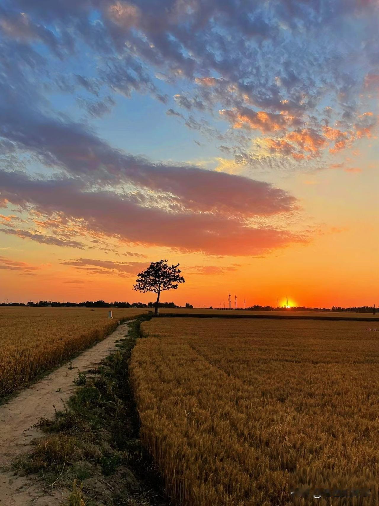 春节假期第二天，闲来无事儿，就随手拿出来四大名著之一的《西游记》消遣时光，因为看