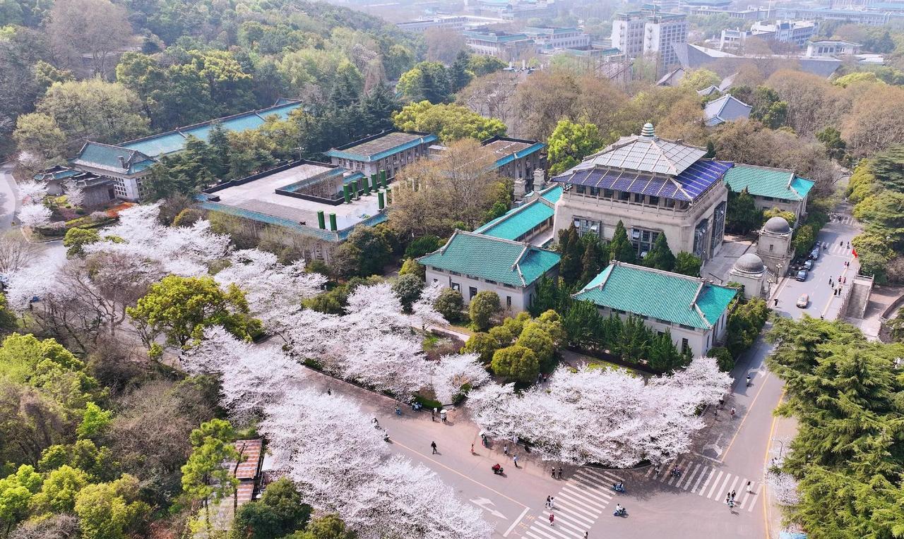 武汉大学的亲戚告诉我，“骚扰”这件事儿武汉大学其实挺冤的。为什么呢？因为从一开