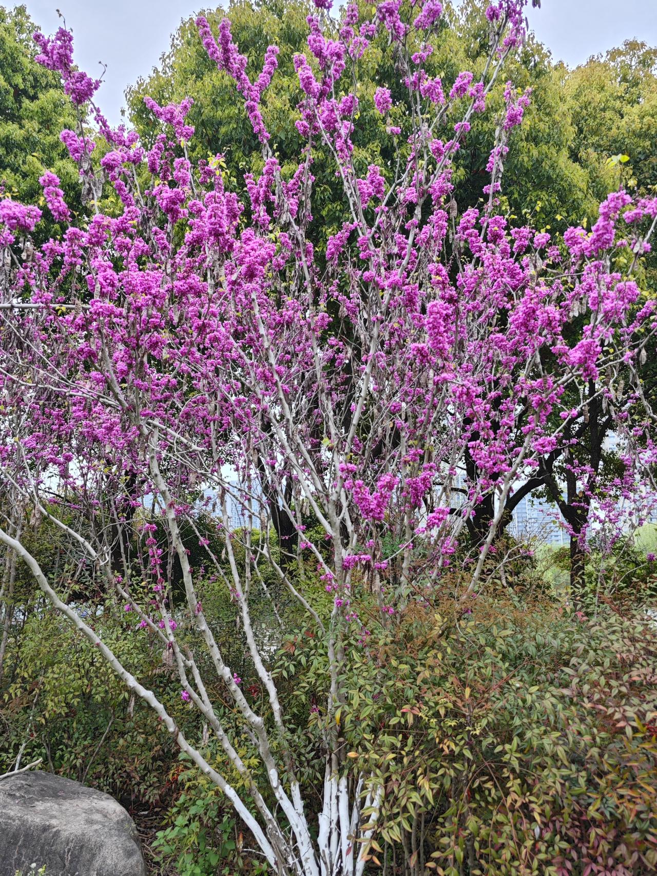 别再傻傻交“养生智商税”了！最好的身体保险，就藏在你每天这6个动作里。能做到