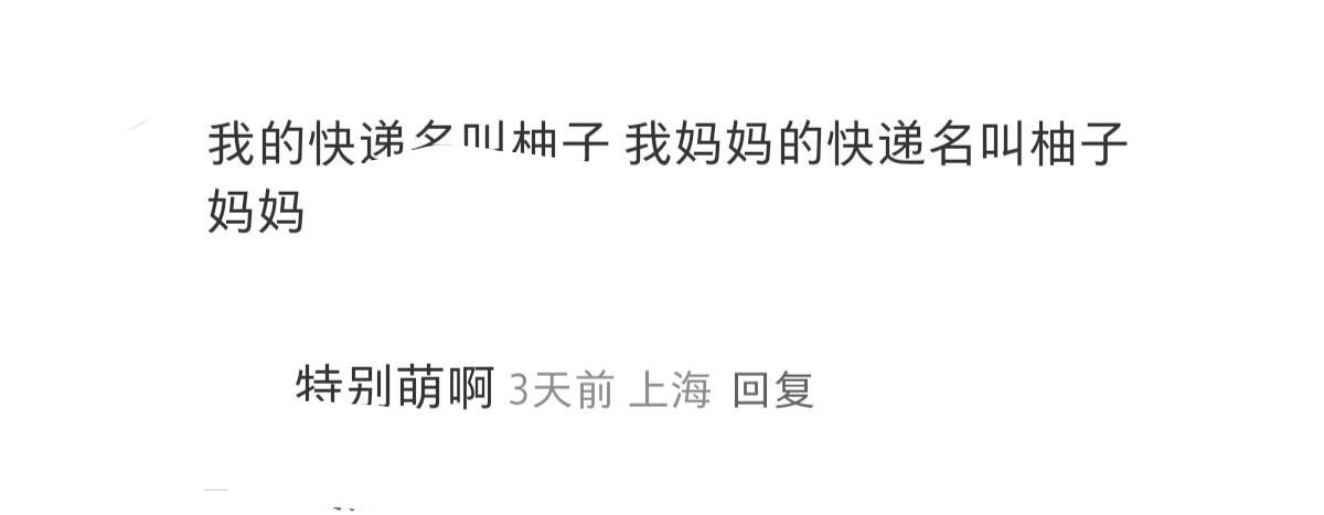 毛毛是我十五岁的小狗