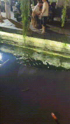 差一点啊