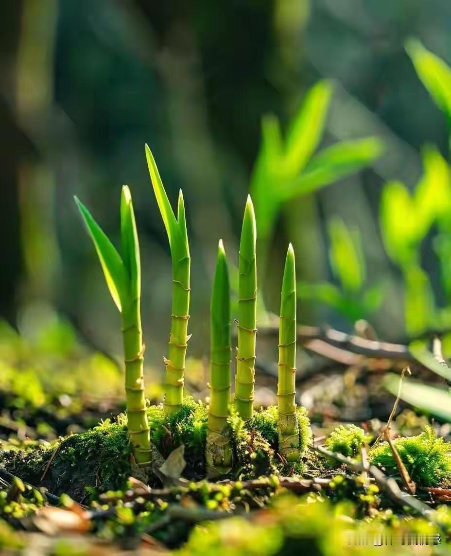 人生没有败笔：所有写下的，都是经历；所有经历的，都是财富。或许你我都曾在深夜翻来