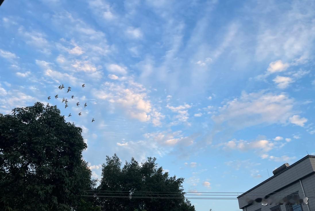 遇到这种爱挑嗦弟弟夫妻感情的姑姐真的很倒霉！一女子，离婚两年了，带着孩子在娘家住