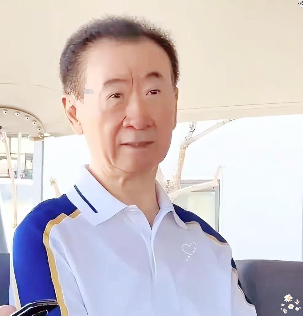 他到底动了谁的奶酪？王健林没跑路、没转移资产、没拖欠工资，甚至砸锅卖铁在还债