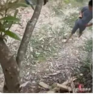 广东一女子和老公吵架，赌气躲到了树上，没想到接下来发生的事，让她万万没想到，网友