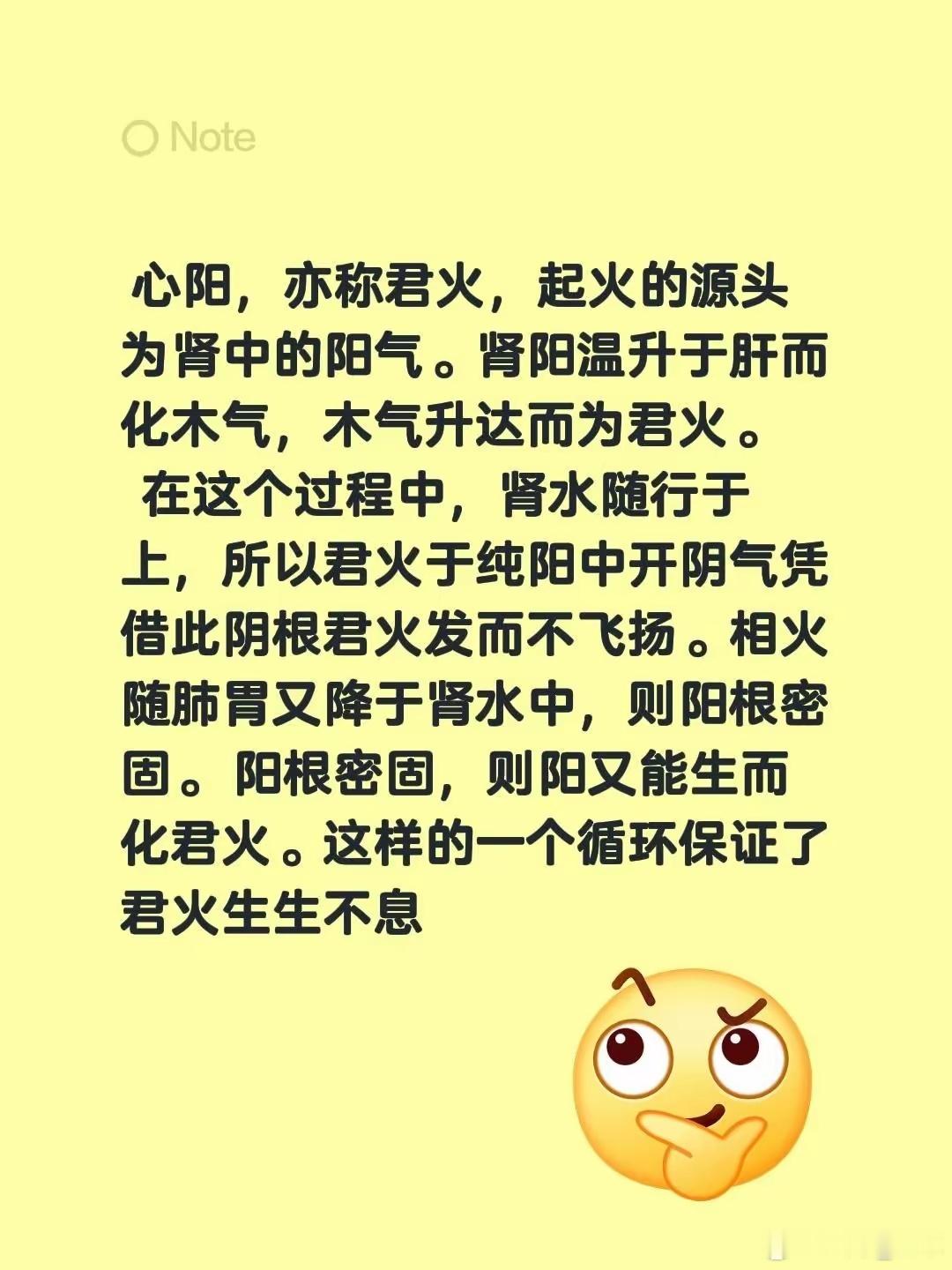  心阳，亦称君火，起火的源头为肾中的阳气。肾阳温升于肝而化木气，木气升达而为君火