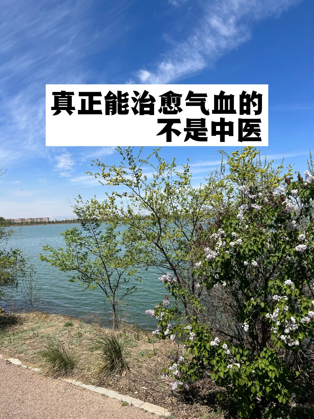 真正能治愈气血的，不是中医！