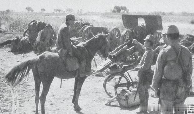 抗战胜利后，七万多匹日本军马成了烫手山芋！这些东洋马可不是普通牲口，当年小鬼子为