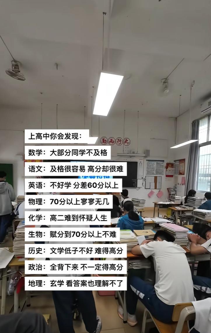 上了高中你会发现各学科的规律