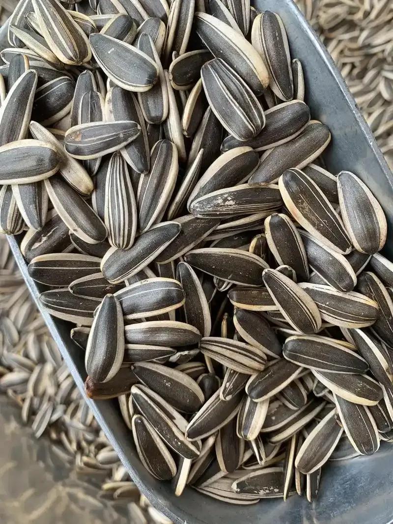 从街边炒货店到资本新贵：51元/斤的瓜子凭啥成商场“香饽饽”？51元一斤的瓜