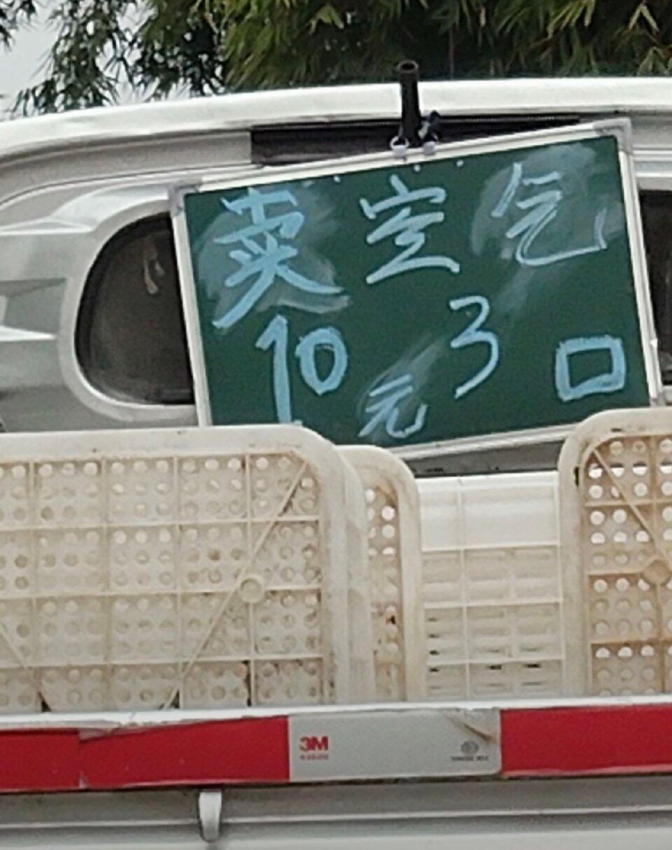 四川人咋这么神