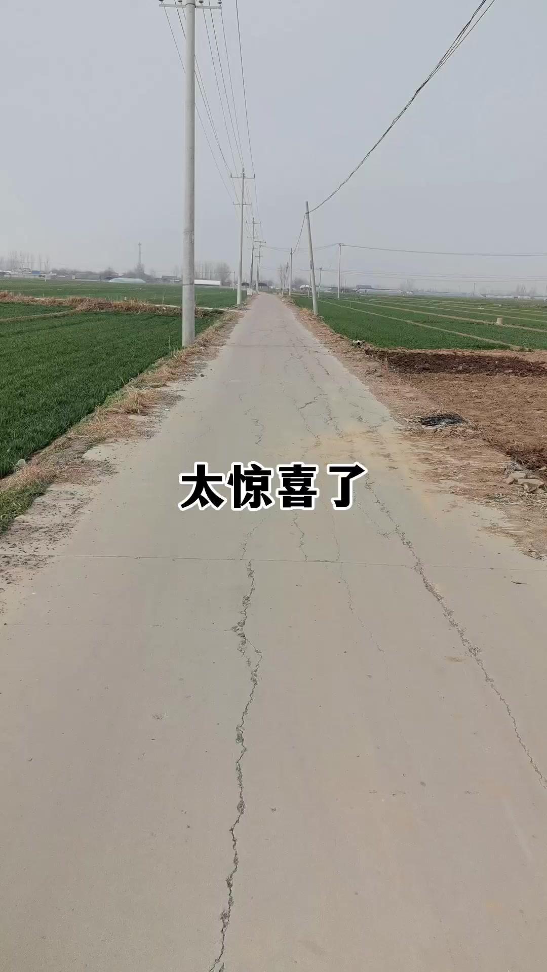 太惊喜了，我发现了150多年前的古河道！就在张名府村北，一起来看看。据《束鹿