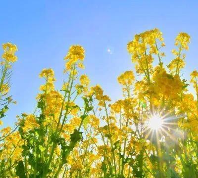 昨天问了几家中介公司，关于家中请保姆的事打听了一下。保姆现在挺多，雇主能随便挑