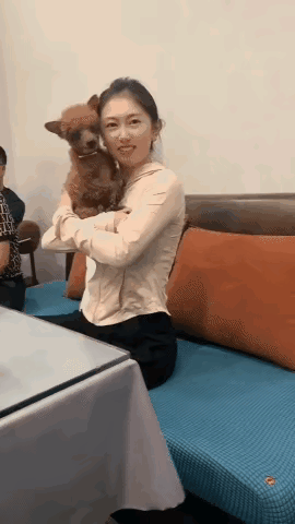 大姐一看就不懂，这么抱狗挺危险