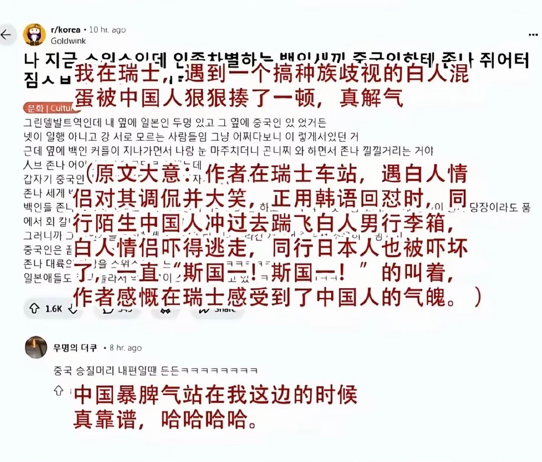 韩国网友发帖：他遇到了一个种族歧视的白人，日本人围观，只有中国人仗义出手网友在瑞士车站被一对白人情侣