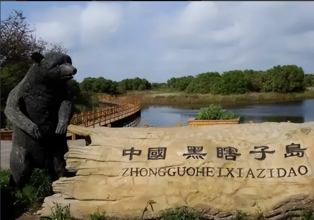 俄罗斯归还中国土地这事儿，得从历史的“老账本”说起。新中国成立后，咱们就一直