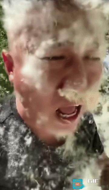 潍坊，值得全国抄作业！一到春夏，漫天杨絮漫天飞舞，过敏打喷嚏、出门睁不开眼