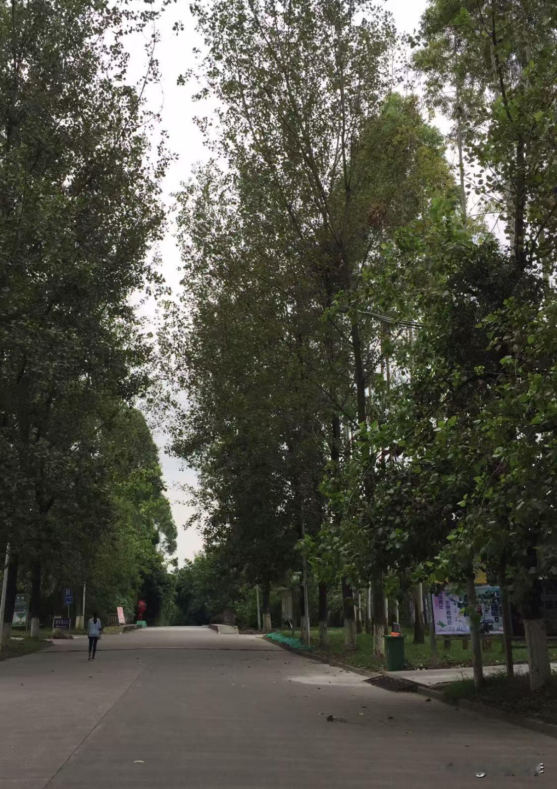 我楼上的阿姨分享了她很多生活中省钱的招数。比如：一，从不花自家的钱在外面