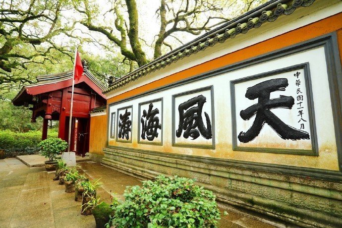 浙江·舟山·普陀山，绿树掩映之下，是清净的心。​​​​