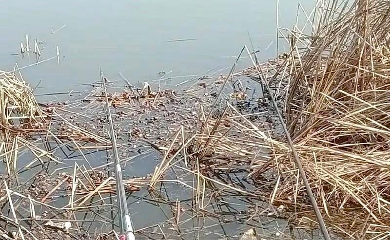 超过六成的新手，第一根鱼竿就买错了！别不信，大数据显示63%的钓友第一年买竿