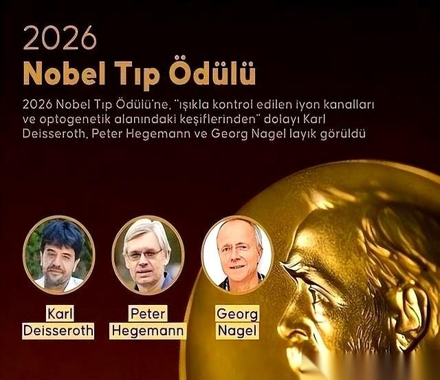 2026年诺贝尔自然科学三大奖发完了。物理、化学、医学，得奖的是美国人、法国人、