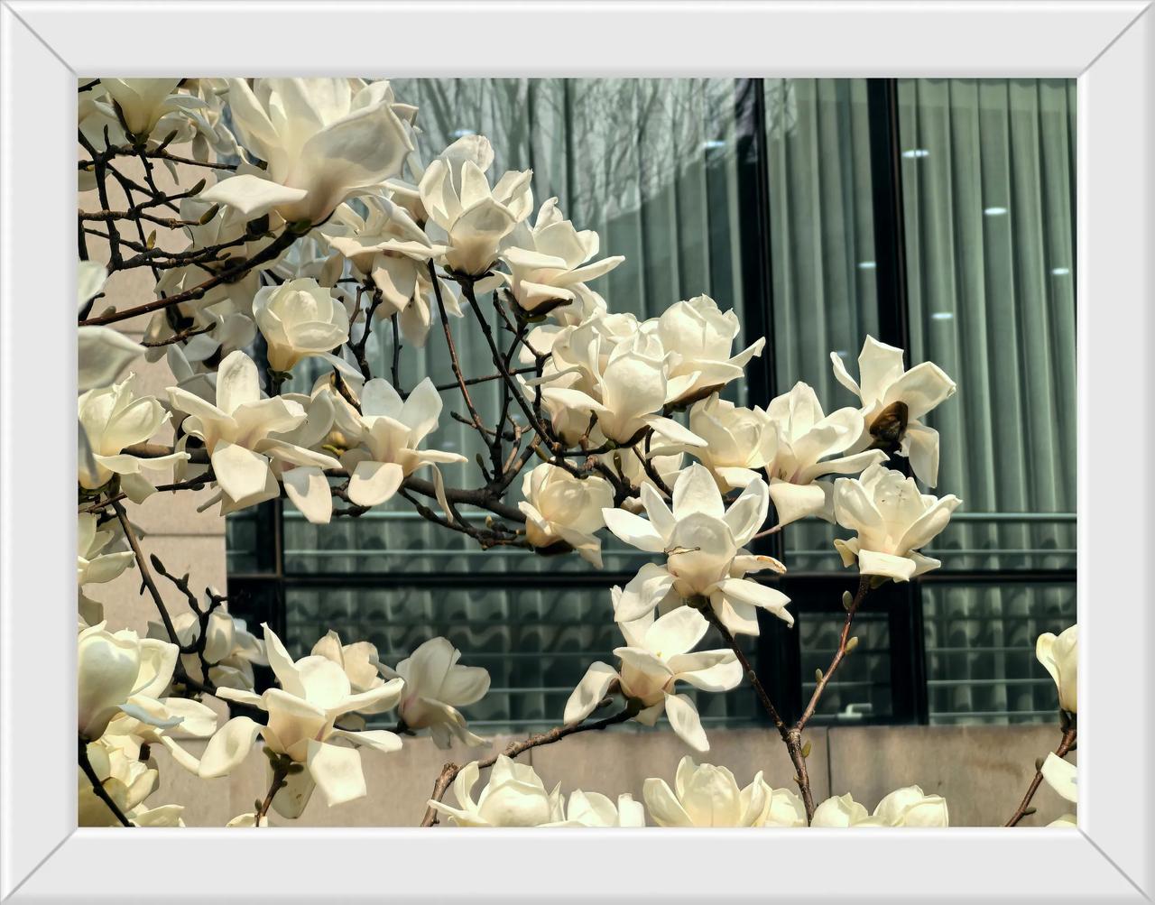 我也跟一张咯[呲牙笑]