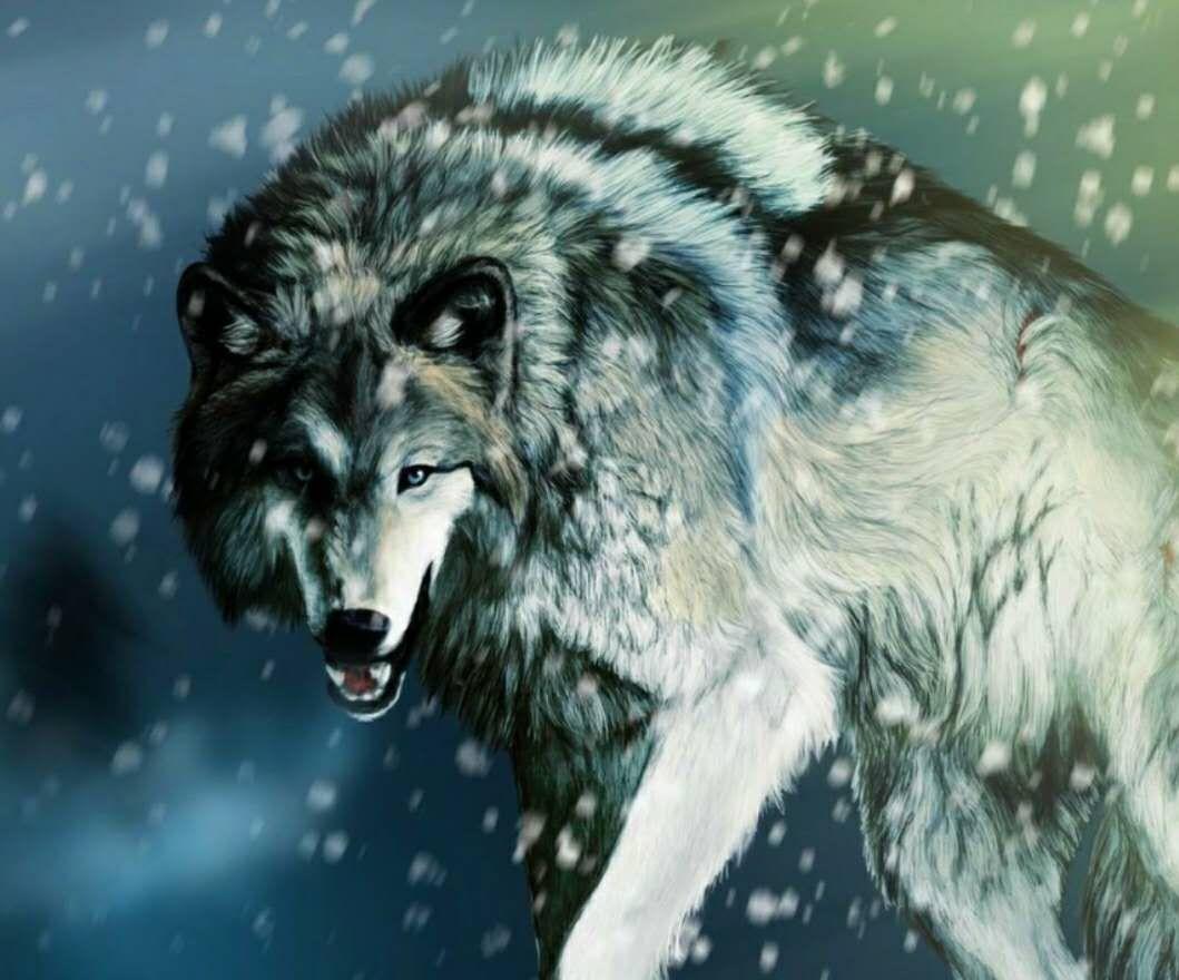 分享我这周有趣的事：近日小本子的高级智库在接受访谈中煞有其事的说，我们从历史上看