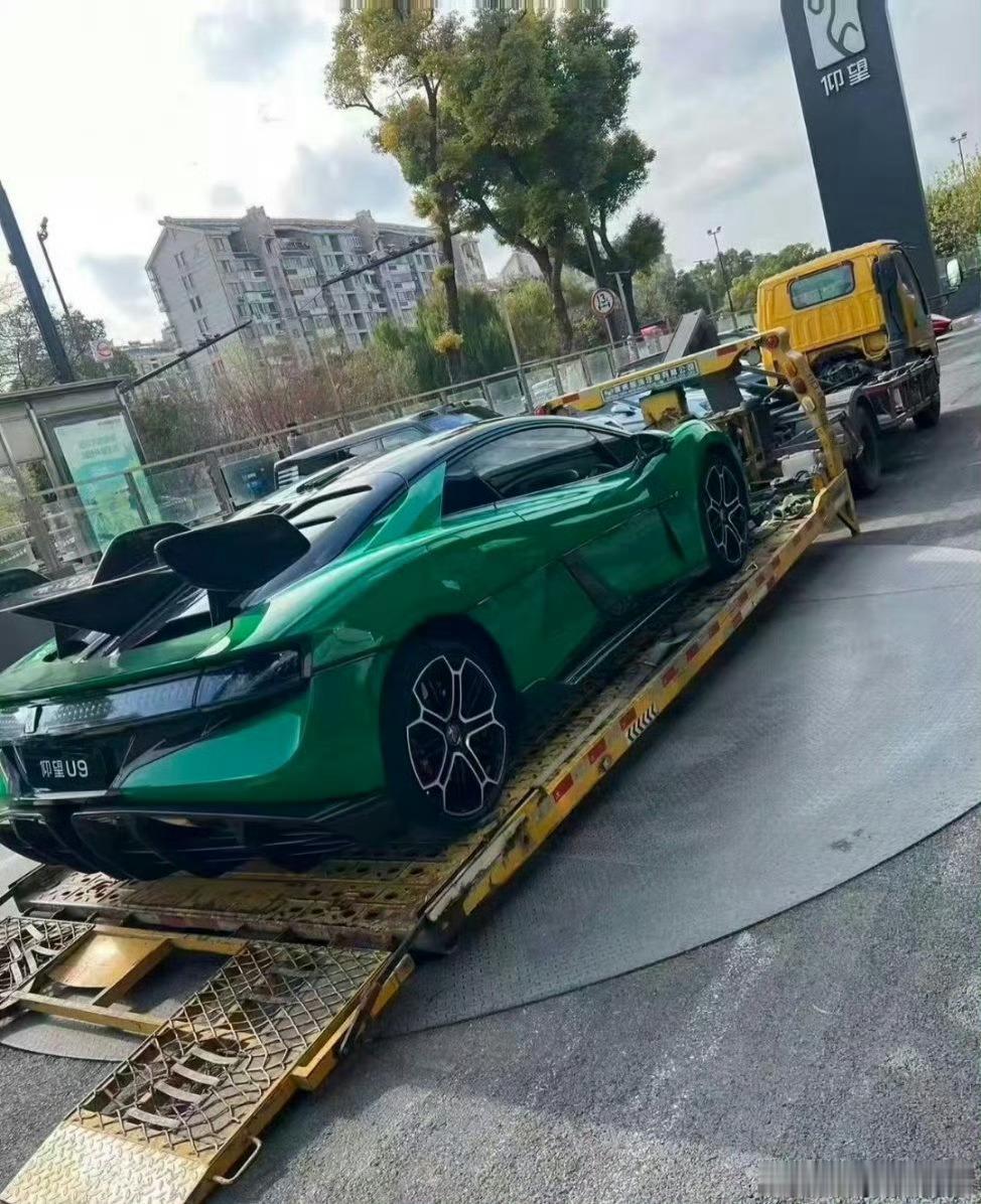 仰望U9纪念色「极境森林」的实车照片，看着比海报质感好看多了……现在迪子车子配色