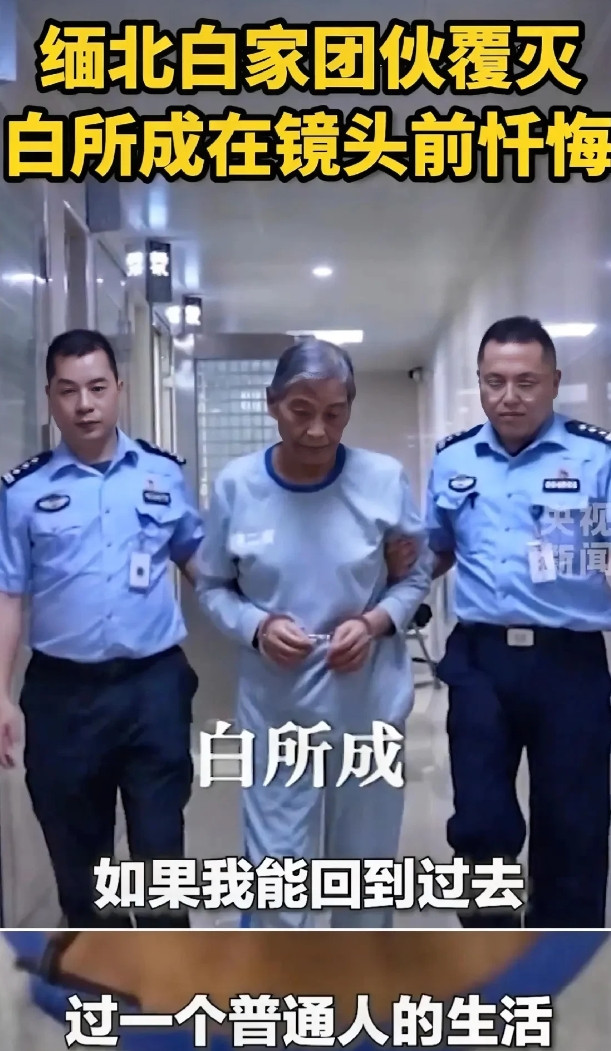 白所成面对镜头终于悔悟：如果可以回到过去，想过一个普通人的生活！只是那些死在白家