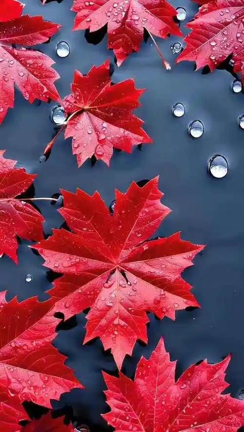 繁林春燕暖。欢迎友友们接着对下联。