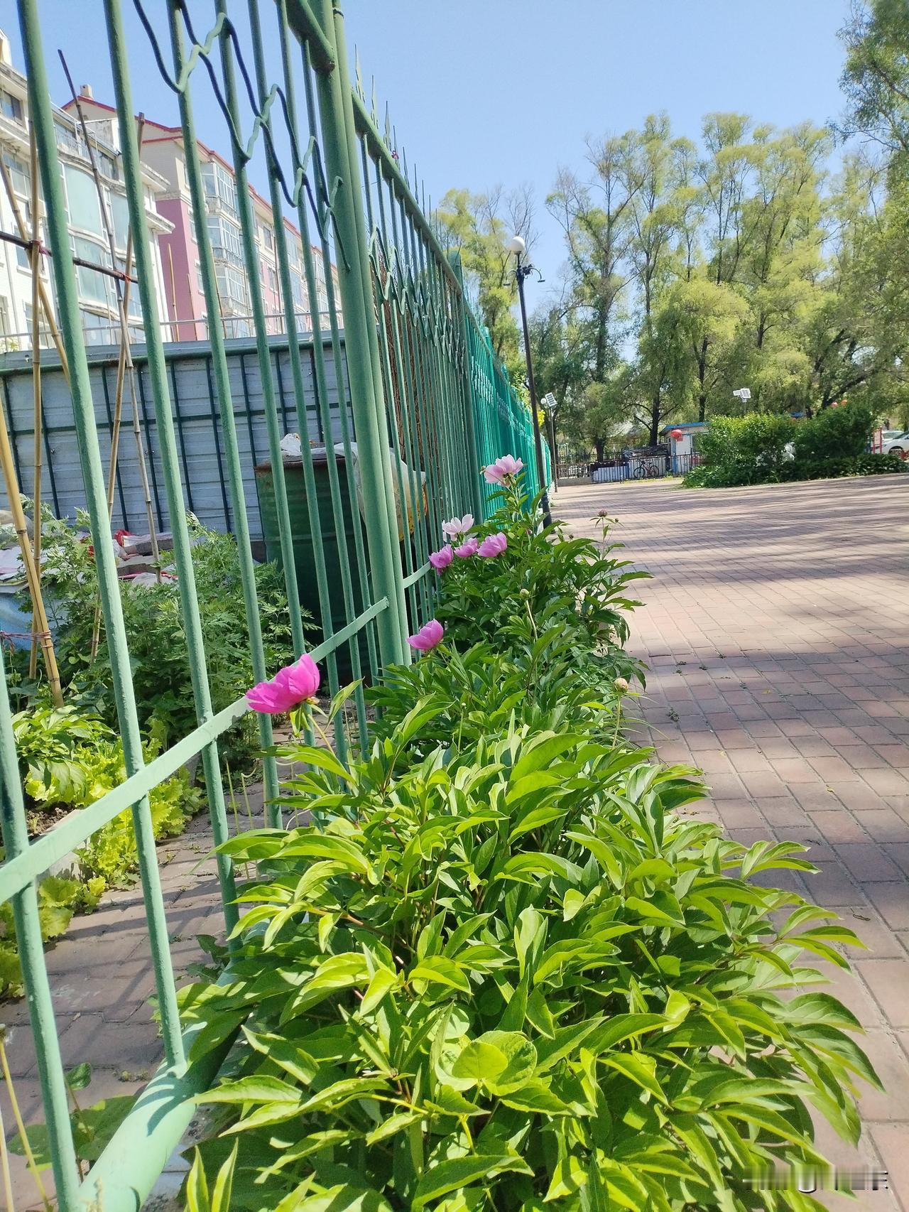 户口重不重要，要从两方面看。站在国家的角度，给人上户口，这是掌握人口数量