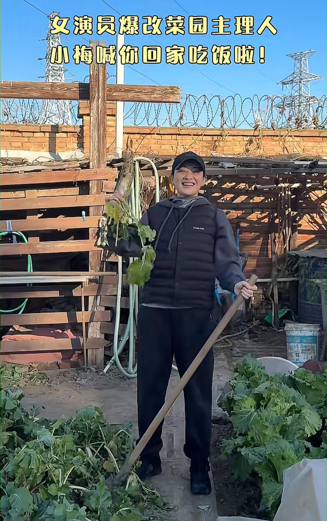 梅婷家里也有个大菜园子。种了各式各样的蔬菜，萝卜白菜是最常见的，还有少见的芋头，