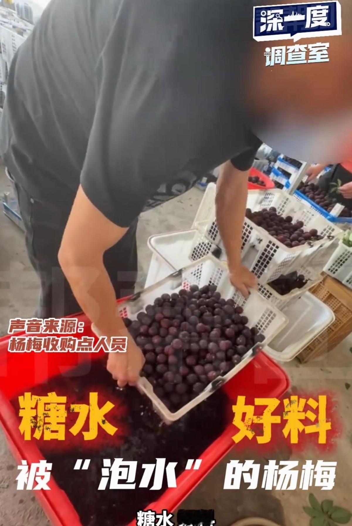 良心真的不会痛吗？5月16日报道，福建漳州正值杨梅旺季，暗访中记者刚想尝鲜，现场