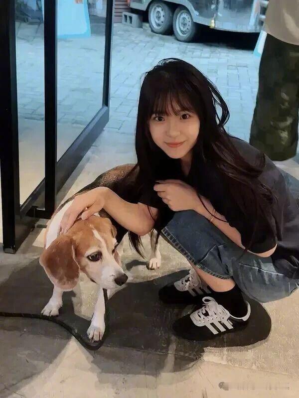 好可爱，我可以摸一下吗？右边那只~​​​