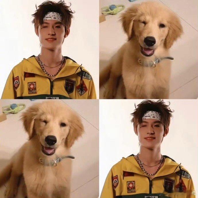 张泽禹先天小狗圣体张泽禹就像一只被阳光晒过的小狗，身上带着温暖的气息，靠近他的