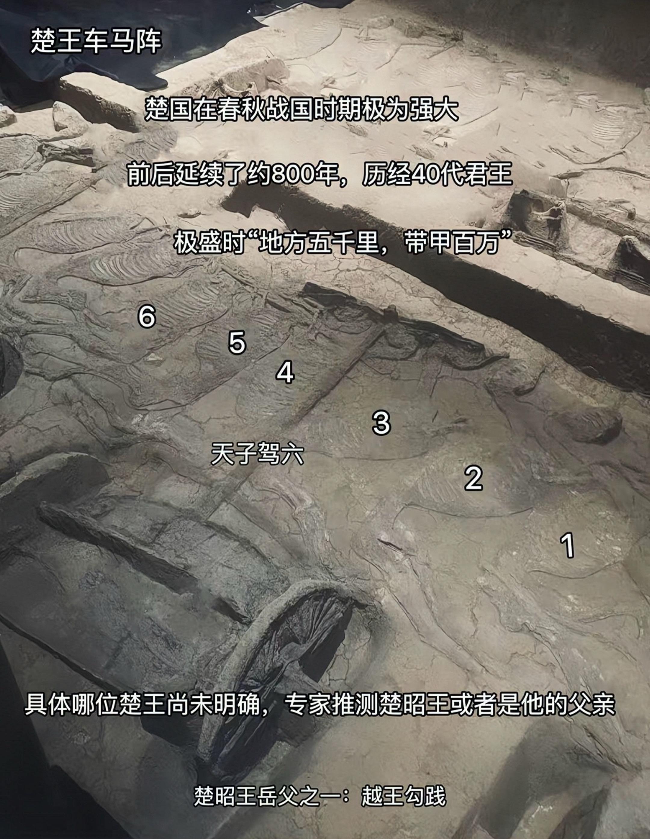 北有秦始皇兵马俑，南有楚王车马阵