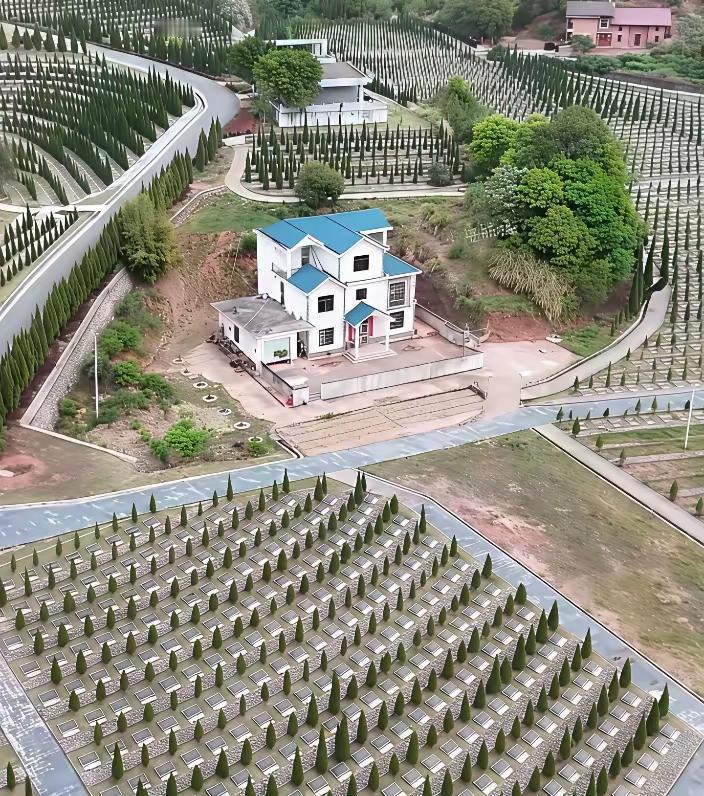 放眼望去，俱是碑林，松柏森森。只有陵墓园林管理处还透露着人世间的生机。能在这所建