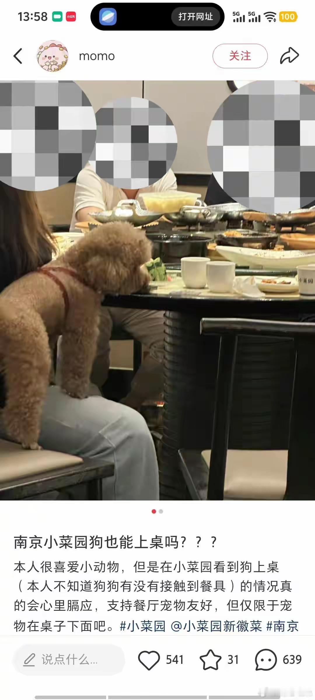 人狗不分。