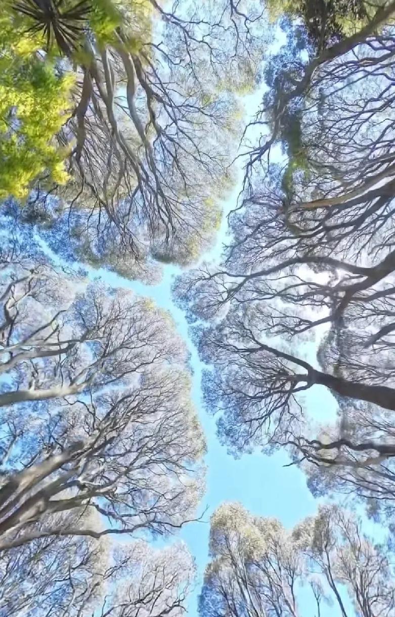 辽宁一行政窗口，单人8年敛财1614万！日进8千堪比抢钱，手段太嚣张…作为地