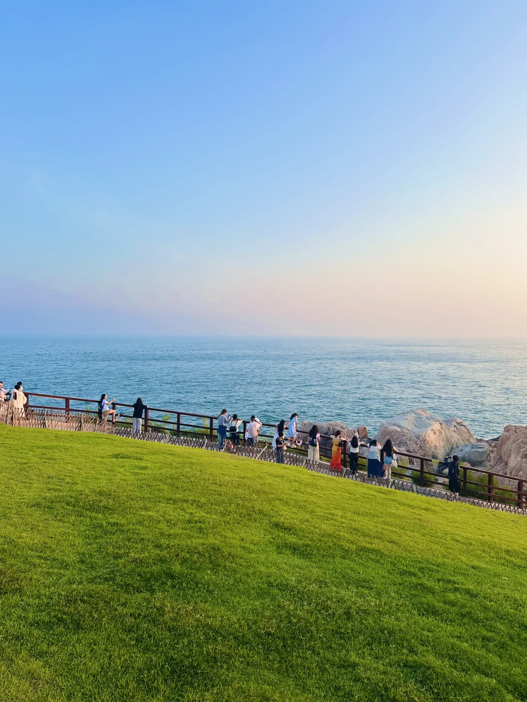 青岛｜小麦岛的治愈夏天live实况🍃