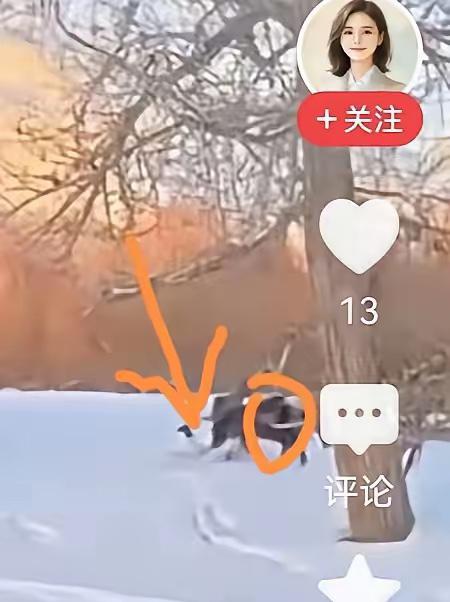 贺娇龙坠马视频曝光，透露更多侵害细节。拍摄视频时马受惊，身体被甩下去，但是一只脚