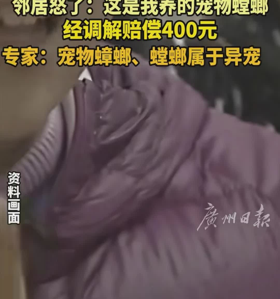 “活久见！”浙江杭州，一男子在家门口发现了只疑似蟑螂的东西，于是拿出杀虫剂灭杀。