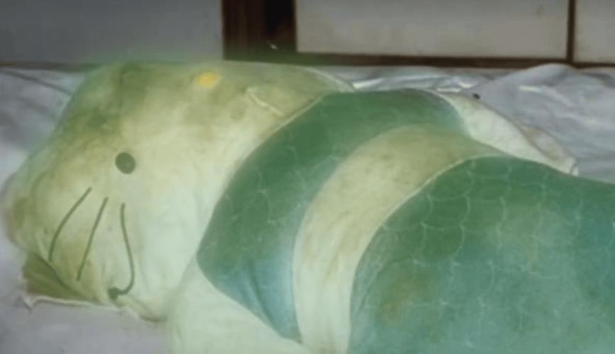 1999年，香港23岁陪酒女樊敏仪，因为拖欠夜总会管账陈文乐几千块钱，被陈文乐等