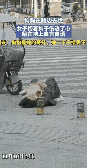 网友震惊了:河南，狗狗在路边去世，女子无法接受自己的爱狗离开自己的事实，抱着狗狗