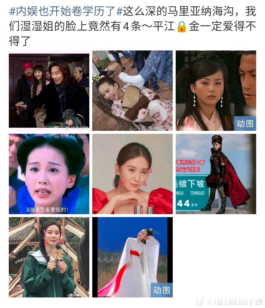 这个rs什么情况，怎么都是刘亦菲和刘诗诗粉丝