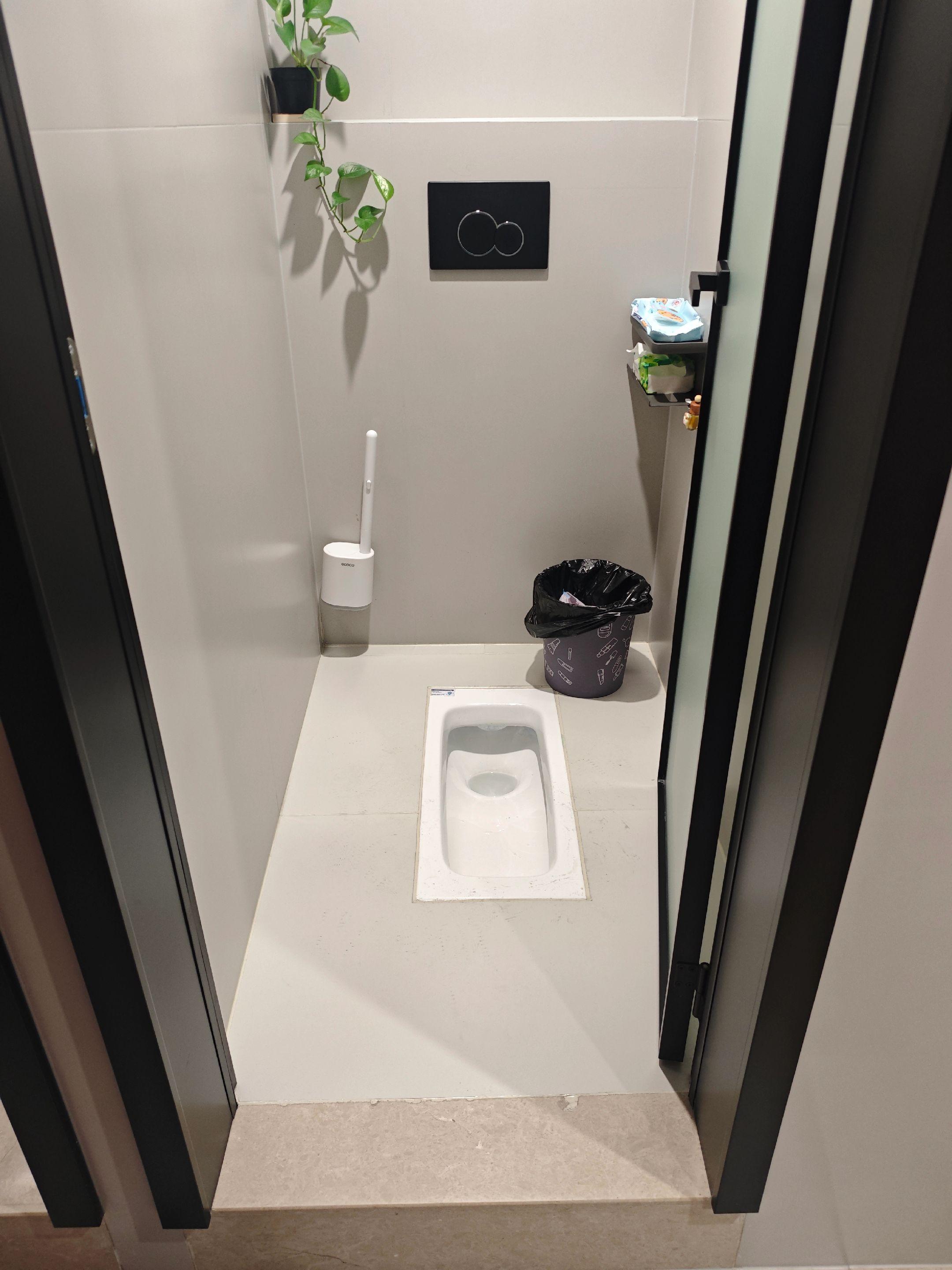 卫生间高级感——隐藏水箱蹲便器。