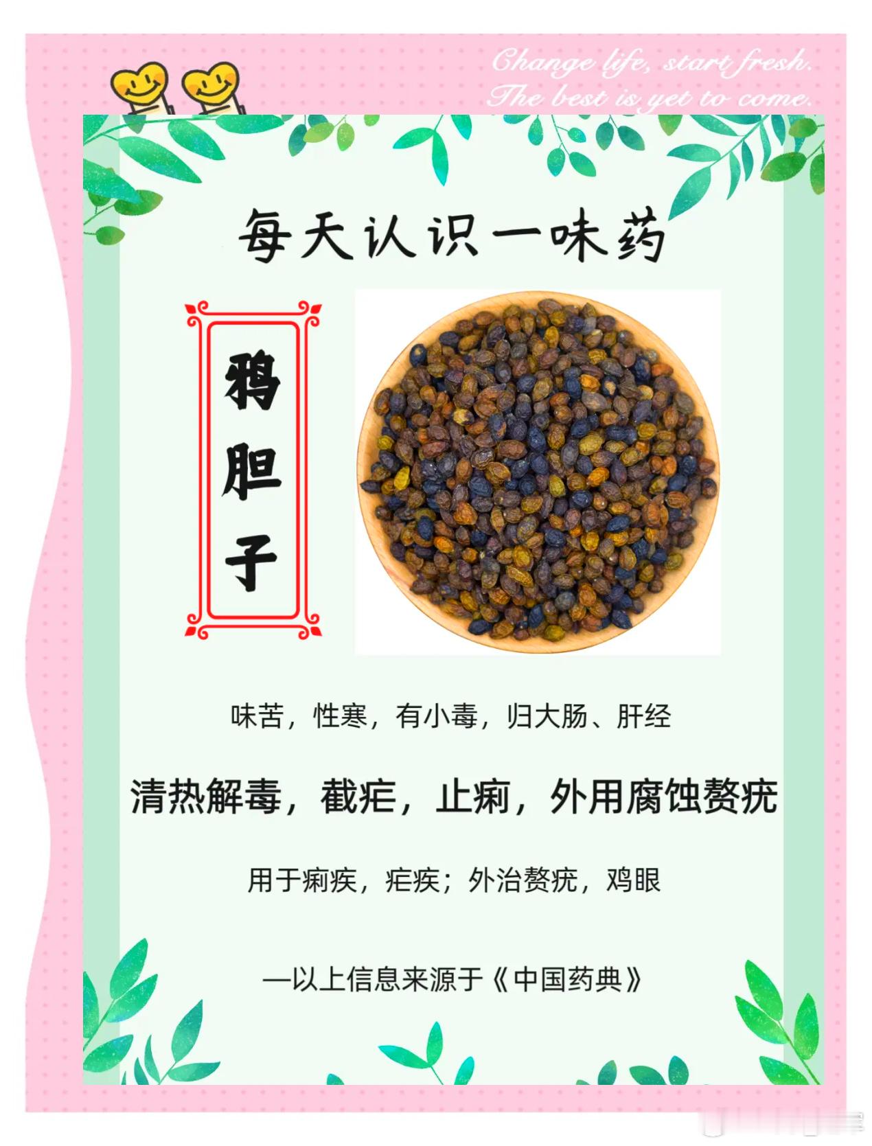 一张治疣的妙方，一味药就能灭了身上的瘊子、鸡眼单方——鸦胆子捣碎，用75%酒精